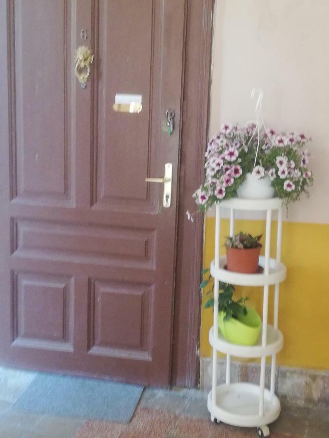 Galeria Apartman Szegedin Exterior foto